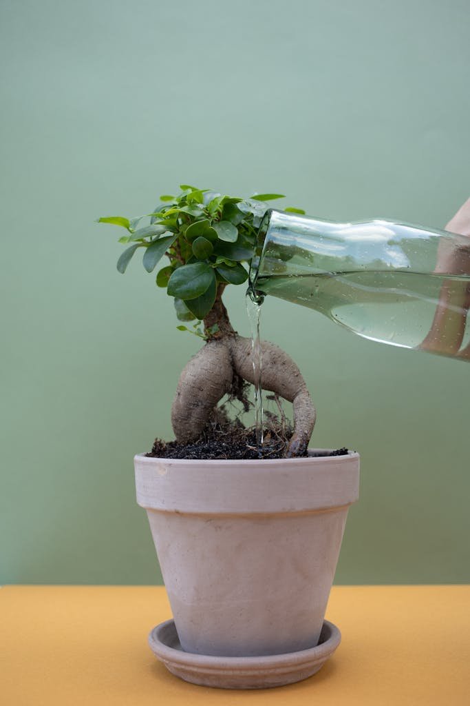 Best Smart Self-Watering Pots 2026: Aesthetic glass bottle watering an indoor plant in a sunny kitchen